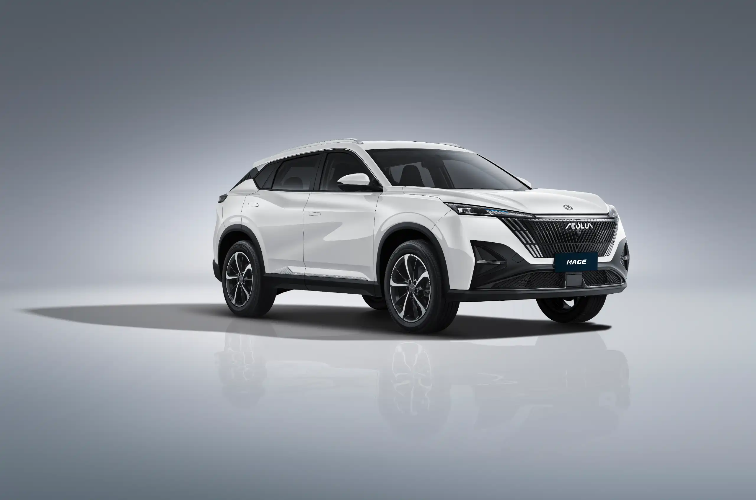 Dongfeng MAGE