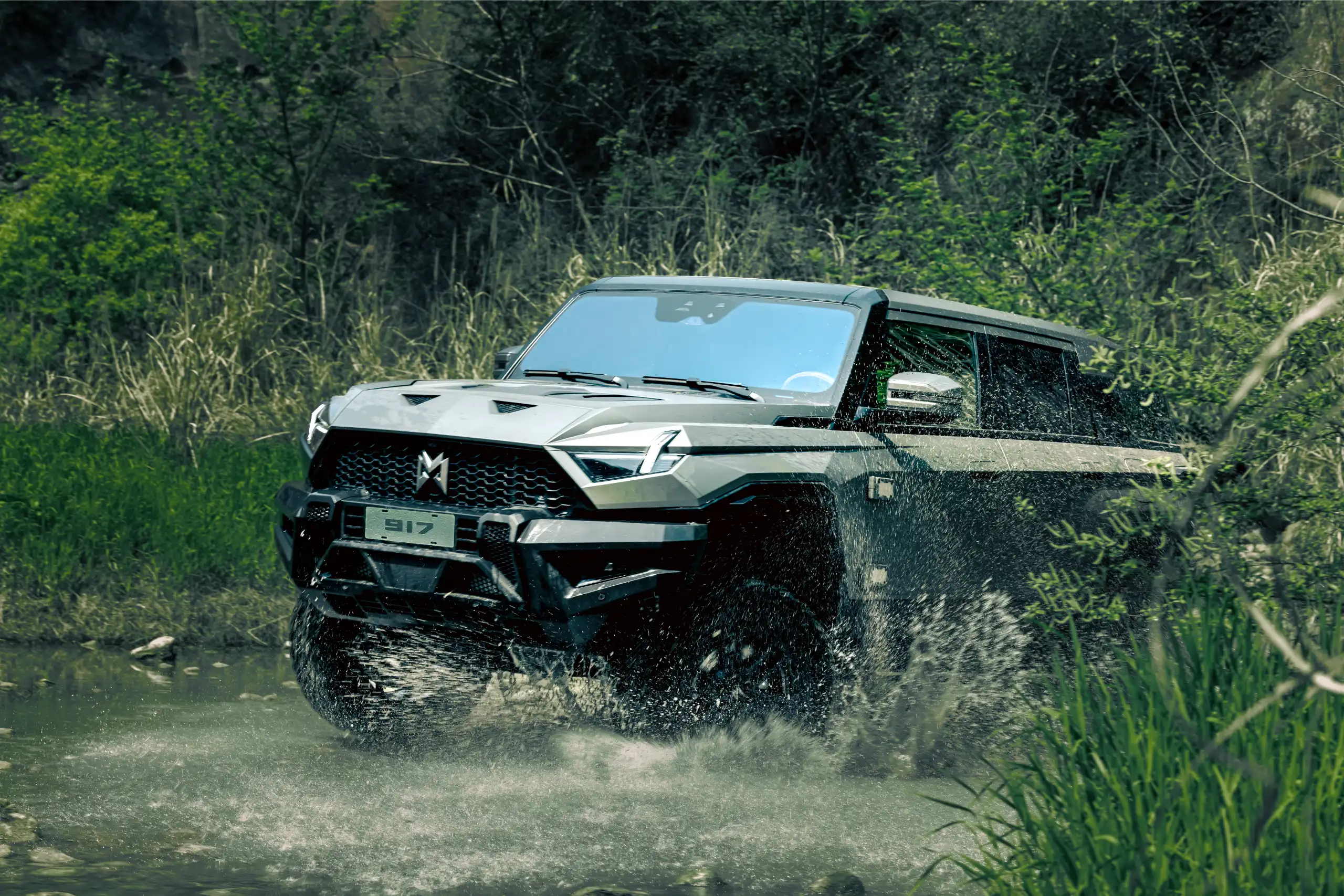 Dongfeng MHERO 917 REV